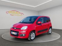 Gebraucht Fiat Panda Easy 142 PS (104 kW) 2015 Rot Kleinwagen