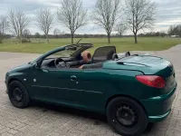 Używany Peugeot 206 110 KM (80 kW) 2006 Zielony Kabriolet