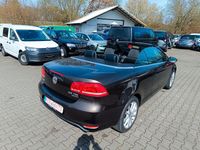 Gebraucht VW Eos 140 PS (102 kW) 2012 Braun Cabrio
