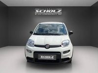 Gebraucht Fiat Panda 69 PS (50 kW) 2024 Gelato weiß Kleinwagen