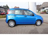 Neu Fiat Panda Icon 65 PS (47 kW) 2026 Blau Kleinwagen
