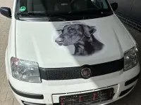 Gebraucht Fiat Panda 54 PS (39 kW) 2009 Weiß Kleinwagen