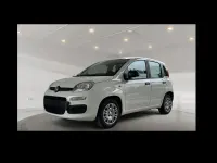 Ny Fiat Panda 71 HK (52 kW) 2025 Hvid Hatchback