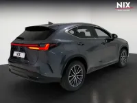 Gebraucht Lexus NX450h+ E-FOUR Executive Line 309 PS (227 kW) 2022 Grau SUV