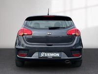 Gebraucht Kia Ceed Edition 7 99 PS (72 kW) 2016 Grau Kleinwagen