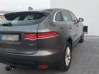 Gebraucht Jaguar F-Pace Pure 179 PS (131 kW) 2016 Grau SUV