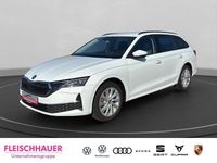 Gebraucht Skoda Octavia Selection 150 PS (110 kW) 2025 Weiss Kombi