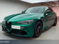 Gebraucht Alfa Romeo Giulia Quadrifoglio 510 PS (375 kW) 2022 Grün Limousine