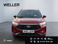 Gebraucht Ford Kuga ST-Line 186 PS (136 kW) 2024 Rot SUV