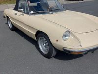 Gebraucht Alfa Romeo Spider 129 PS (94 kW) 1976 Beige Cabrio