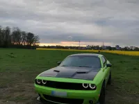 Gebraucht Dodge Challenger 492 PS (361 kW) 2016 Grün Coupé