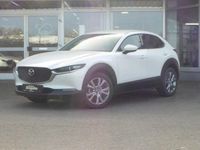 Neu Mazda CX-30 Exclusive 140 PS (102 kW) 2026 Braun SUV