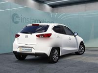 Gebraucht Mazda 2 75 PS (55 kW) 2023 Weiss Kleinwagen