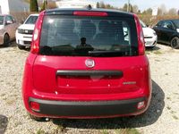 Neu Fiat Panda Icon 69 PS (50 kW) 2025 Gelb Limousine