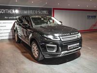 gebraucht Land Rover Range Rover evoque Pure Panorama Navi RFK Tempom