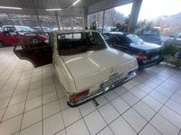 Gebraucht Mercedes /8 95 PS (69 kW) 1971 Beige Limousine
