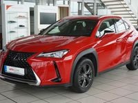 Gebraucht Lexus UX 250h 178 PS (130 kW) 2019 Solid red SUV