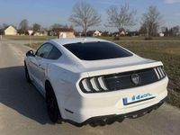 Gebraucht Ford Mustang GT 450 PS (330 kW) 2020 Weiß Coupé