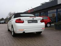 Gebraucht BMW 220 184 PS (135 kW) 2015 Alpinweiss iii Cabrio