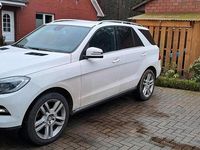 Gebraucht Mercedes ML250 204 PS (150 kW) 2015 Weiß SUV