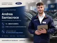 Neu Ford Transit Custom Trend 150 PS (110 kW) 2026 Weiß Van