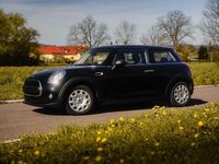 Gebraucht Mini Cooper Salt 75 PS (55 kW) 2016 Schwarz Kleinwagen