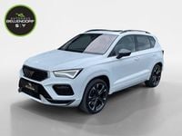 Gebraucht Cupra Ateca 300 PS (220 kW) 2023 Weiß SUV