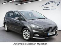 Gebraucht Ford S-MAX S 190 PS (139 kW) 2020 Grau Van / Kleinbus