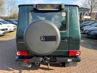 gebraucht Mercedes G350 Professional "Bi-Xenon"Stdhzg"Periklasgrün