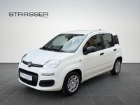 Neu Fiat Panda Icon 65 PS (47 kW) 2026 Gelato weiß Kleinwagen