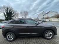 gebraucht Hyundai Tucson 1.6TGDI/Automatik 2WD/Passion Panorama