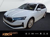 Gebraucht Skoda Octavia Selection 150 PS (110 kW) 2025 Moonweiß perleffekt Kombi