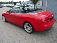 gebraucht Audi A5 Cabriolet 3.0 TDI DPF QUATTRO * S-TRONIC * LEDER * NAVI * XENON * PDC * SHZG VORN & HINTEN * 19 ZOLL