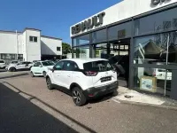 Gebraucht Opel Crossland Edition 110 PS (80 kW) 2023 Weiss SUV