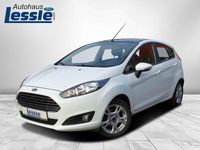 Gebraucht Ford Fiesta Trend 101 PS (74 kW) 2015 Weiß Kleinwagen