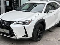 Gebraucht Lexus UX 250h Executive Line 184 PS (135 kW) 2022 Weiß SUV
