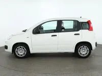 Neu Fiat Panda Connect 71 PS (52 kW) 2025 Gelatoweiss Kleinwagen