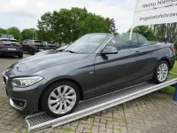 Gebraucht BMW 220 Luxury Line 184 PS (135 kW) 2016 Mineralgrau metallic Cabrio