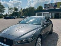 Gebraucht Jaguar XE 179 PS (131 kW) 2016 Grau Limousine