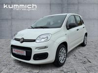 Neu Fiat Panda Icon 69 PS (50 kW) 2025 Weiß Limousine