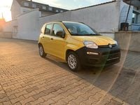 Gebraucht Fiat Panda 69 PS (50 kW) 2014 Gelb Kleinwagen