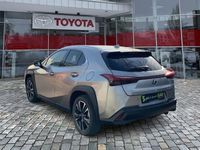 Gebraucht Lexus UX 184 PS (135 kW) 2023 Andere SUV