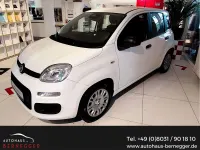 Neu Fiat Panda Icon 65 PS (47 kW) 2026 Weiß Kleinwagen