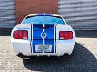 Gebraucht Ford Mustang 506 PS (372 kW) 2009 Weiß Coupé