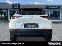 Gebraucht Mazda CX-30 Exclusive-Line 122 PS (89 kW) 2024 Snowflake white pearl SUV