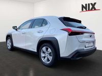 gebraucht Lexus UX 250h KAMERA NAVI SHZ LED KLIMA