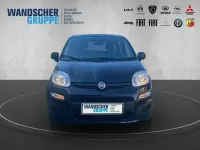 Occasion Fiat Panda 69 ch (50 kW) 2025 Noir Citadine