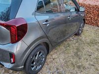 Neu Kia Picanto Vision 63 PS (46 kW) 2025 Grau Kleinwagen