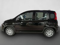 Gebraucht Fiat Panda 69 PS (50 kW) 2024 Schwarz Kleinwagen