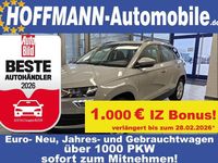 Gebraucht Skoda Karoq Ambition 150 PS (110 kW) 2020 Grau SUV